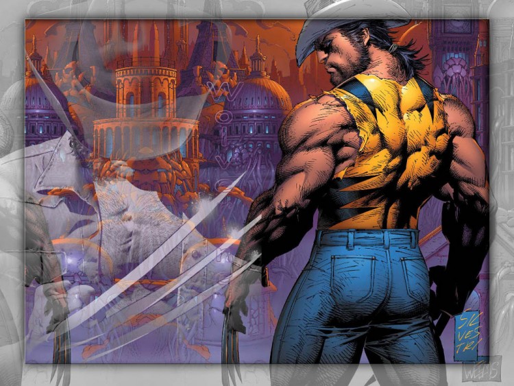 Fonds d'cran Comics et BDs Wolverine Wolverine