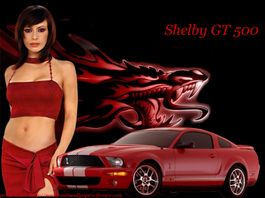 Wallpapers Cars Girls and cars milano+shelbygt500