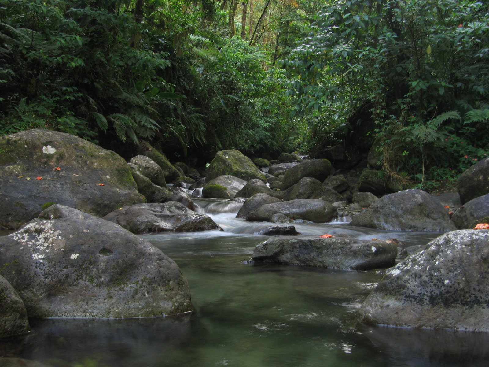 Fonds d'cran Nature Fleuves - Rivires - Torrents Rivire Alma(Martinique)