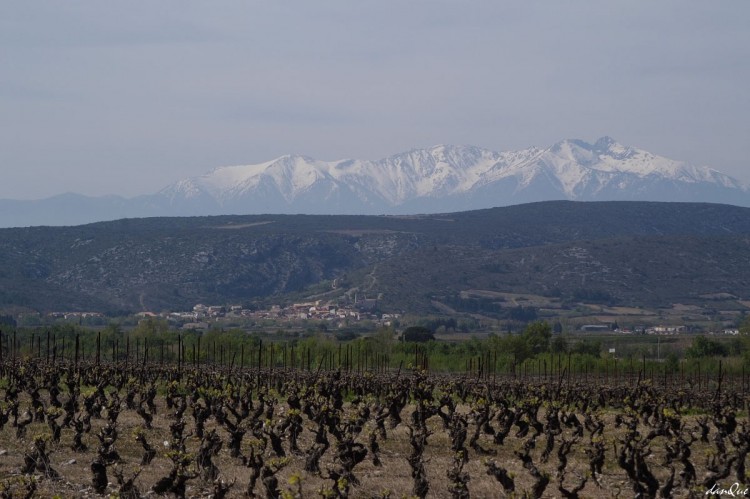 Wallpapers Trips : Europ France > Languedoc-Roussillon Rgion des Corbires