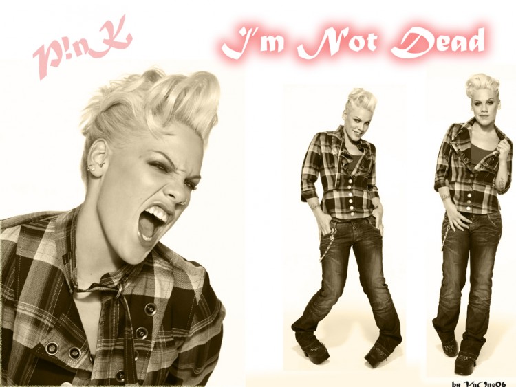 Wallpapers Music Pink P!!!nk