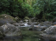 Fonds d'cran Nature Rivire Alma(Martinique)