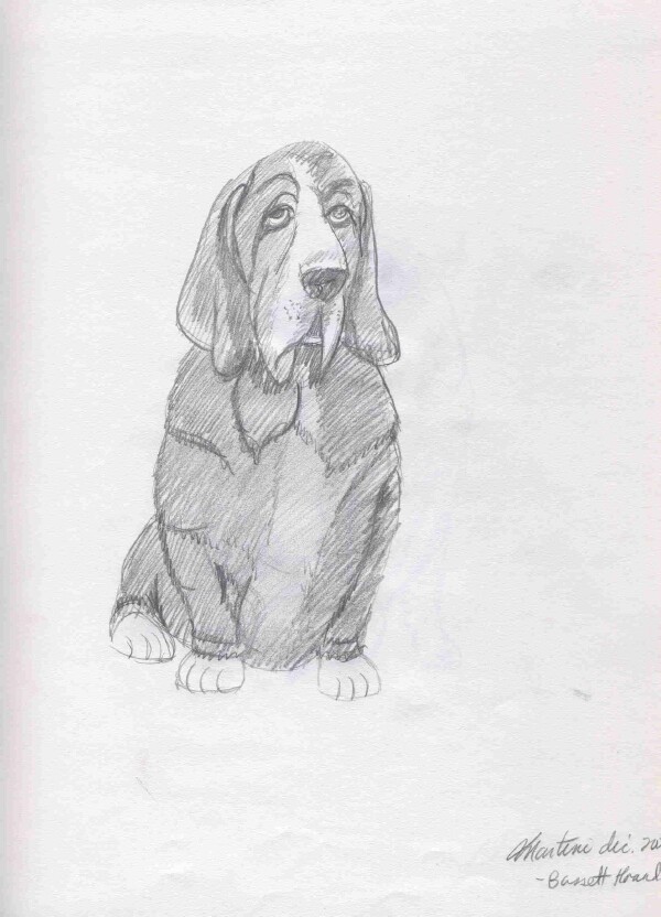 Fonds d'cran Art - Crayon Animaux - Chiens 