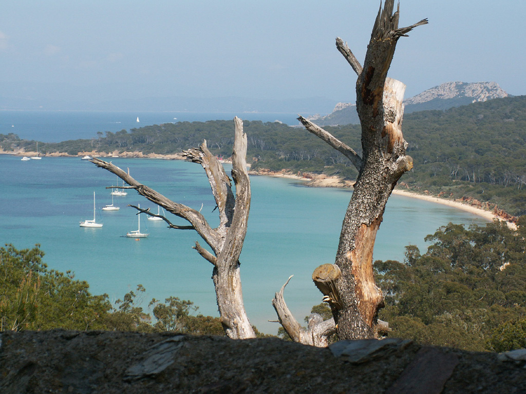 Fonds d'cran Voyages : Europe France > Provence-Alpes-Cte d'Azur ile de Porquerolles