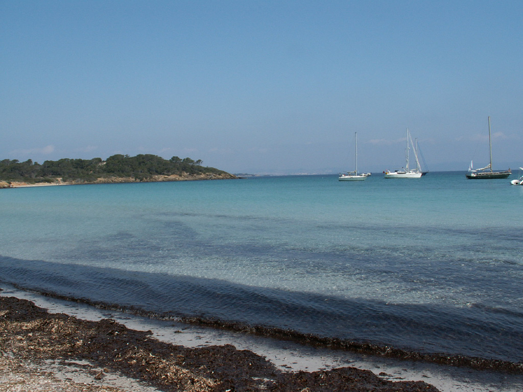 Fonds d'cran Nature Mers - Ocans - Plages Ile de Porquerolles