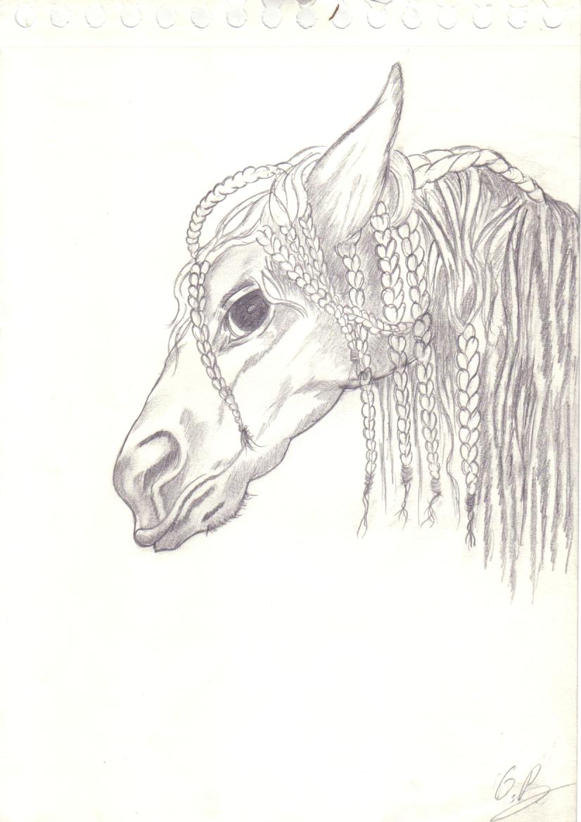 Wallpapers Art - Pencil Animals - Horses cheval