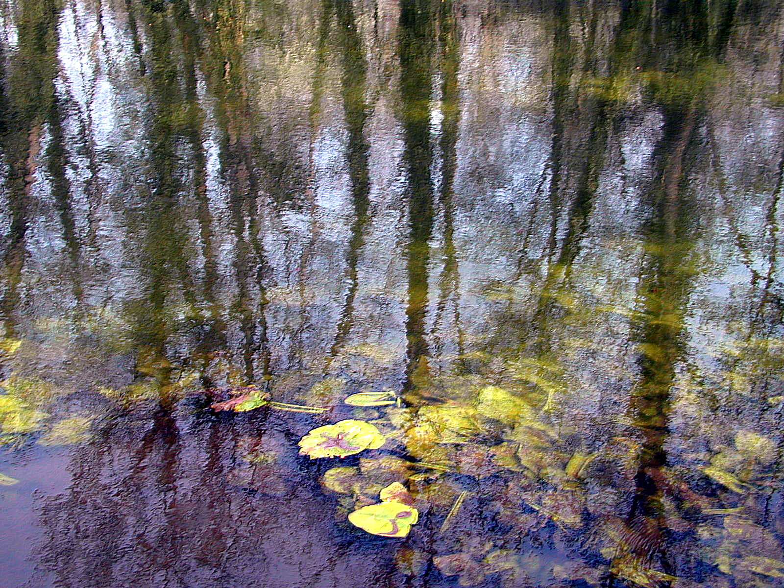 Wallpapers Nature Water - Reflection Reflets