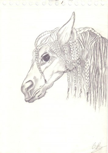 Wallpapers Art - Pencil Animals - Horses cheval