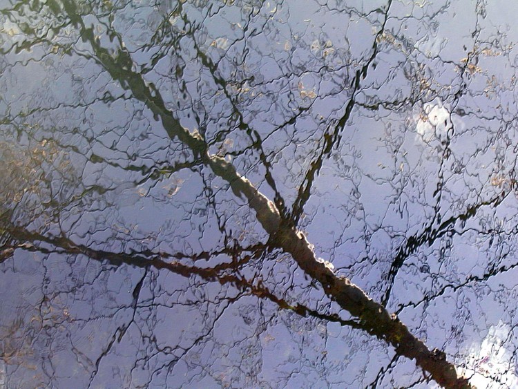 Wallpapers Nature Water - Reflection Reflets