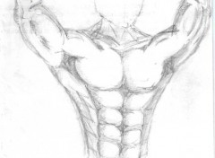 Wallpapers Art - Pencil corps muscl