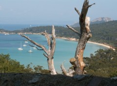 Fonds d'cran Voyages : Europe ile de Porquerolles