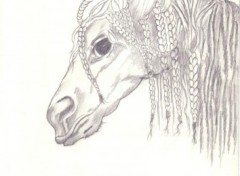 Fonds d'cran Art - Crayon cheval