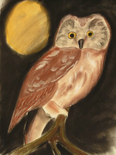 Fonds d'cran Art - Crayon Animaux - Oiseaux - Rapaces chouette hulotte