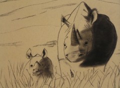 Wallpapers Art - Pencil rhinocros