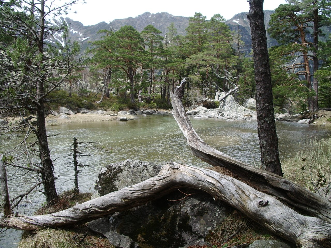 Wallpapers Nature Lakes - Ponds Nature au printemps