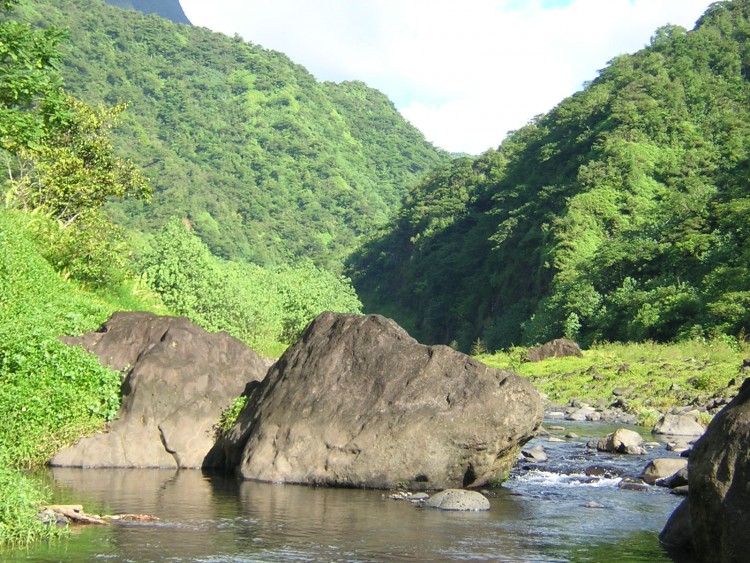 Fonds d'cran Voyages : Ocanie Tahiti coin de rivire