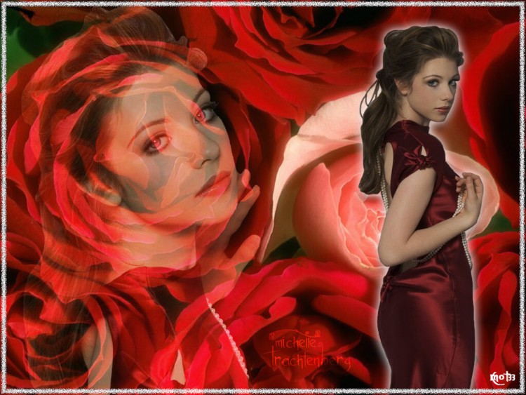 Fonds d'cran Clbrits Femme Michelle Trachtenberg Wallpaper N137116