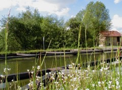 Fonds d'cran Nature ALSACE