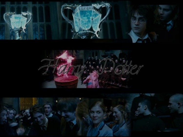 Fonds d'cran Cinma Harry Potter et la Coupe de Feu (IV) Wallpaper N137184