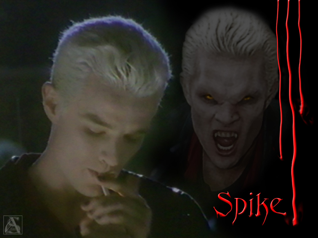 Fonds d'cran Sries TV Buffy Contre Les Vampires spike alias william le sanglant