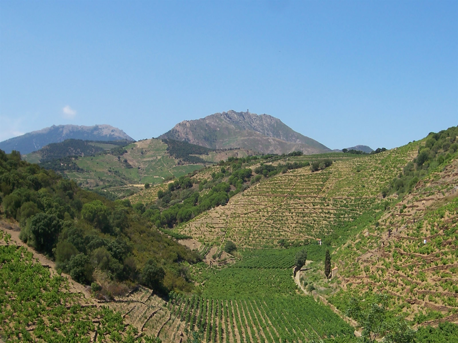 Fonds d'cran Nature Montagnes Banyuls/Mer