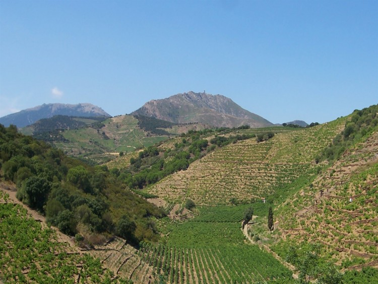 Fonds d'cran Nature Montagnes Banyuls/Mer