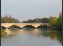 Fonds d'cran Nature loire