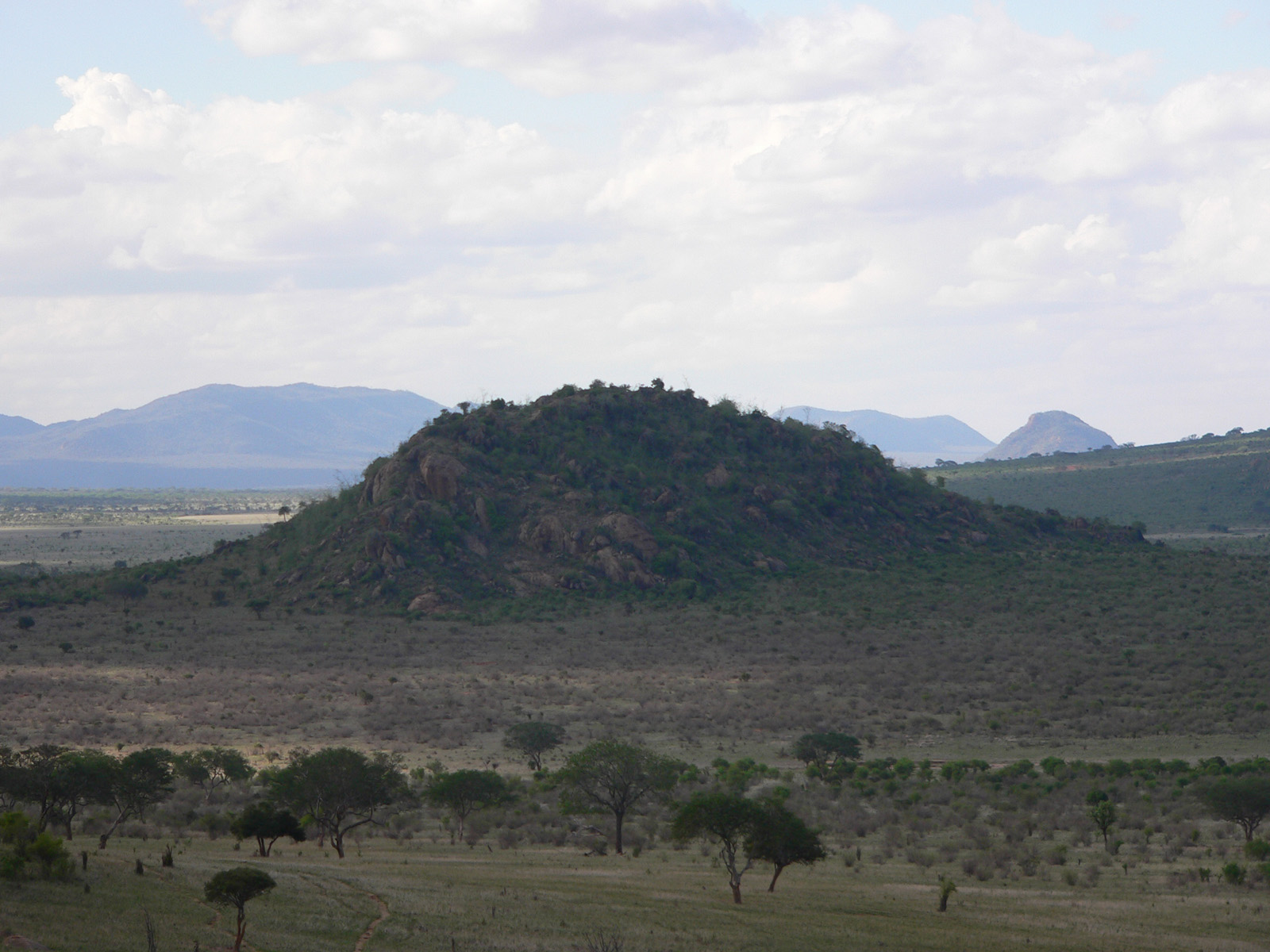 Wallpapers Trips : Africa Kenya trop beau le tsavo