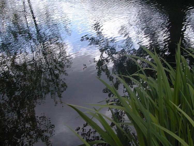 Wallpapers Nature Water - Reflection Reflets