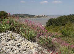 Wallpapers Trips : Europ Etang de Bages