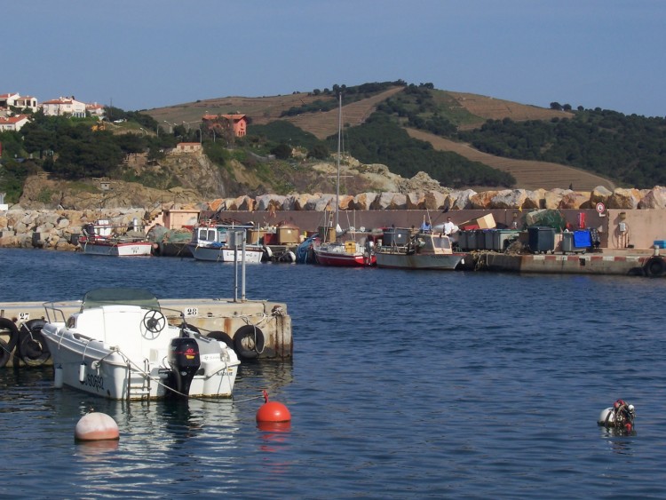 Fonds d'cran Voyages : Europe France > Languedoc-Roussillon Port de Banyuls/Mer