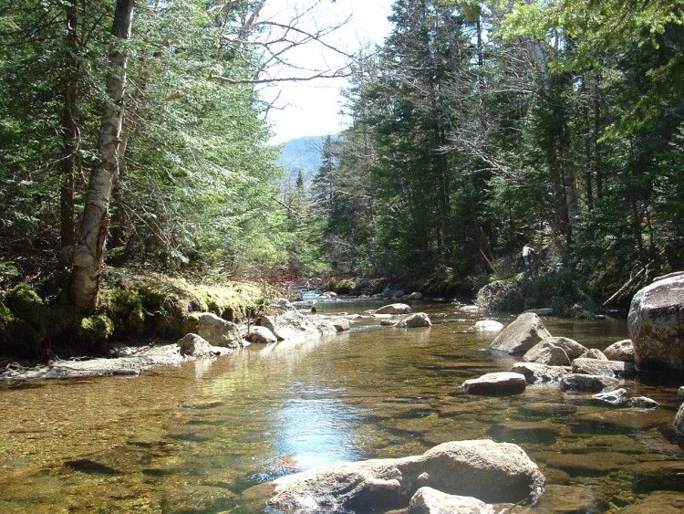 Wallpapers Nature Rivers - Torrents Rivire au Sable