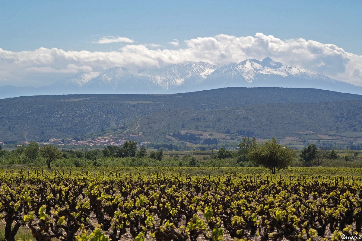 Fonds d'cran Voyages : Europe France > Languedoc-Roussillon Paysage des Corbires