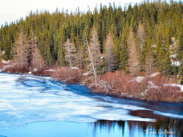 Fonds d'cran Voyages : Amrique du nord Canada > Qubec Toundra