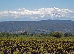 Fonds d'cran Voyages : Europe Paysage des Corbires