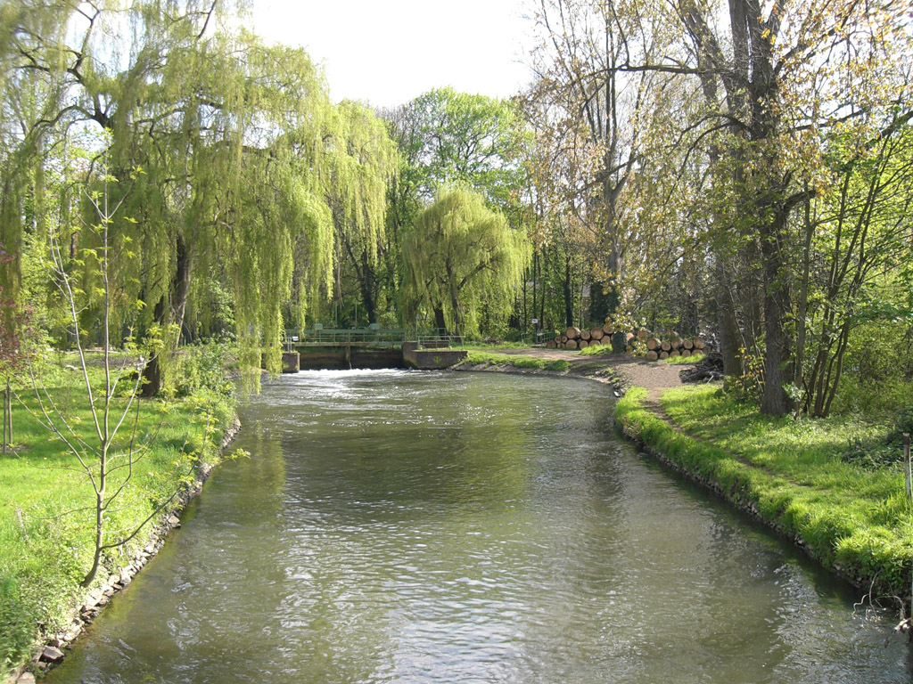 Fonds d'cran Nature Fleuves - Rivires - Torrents Spring@Cologne