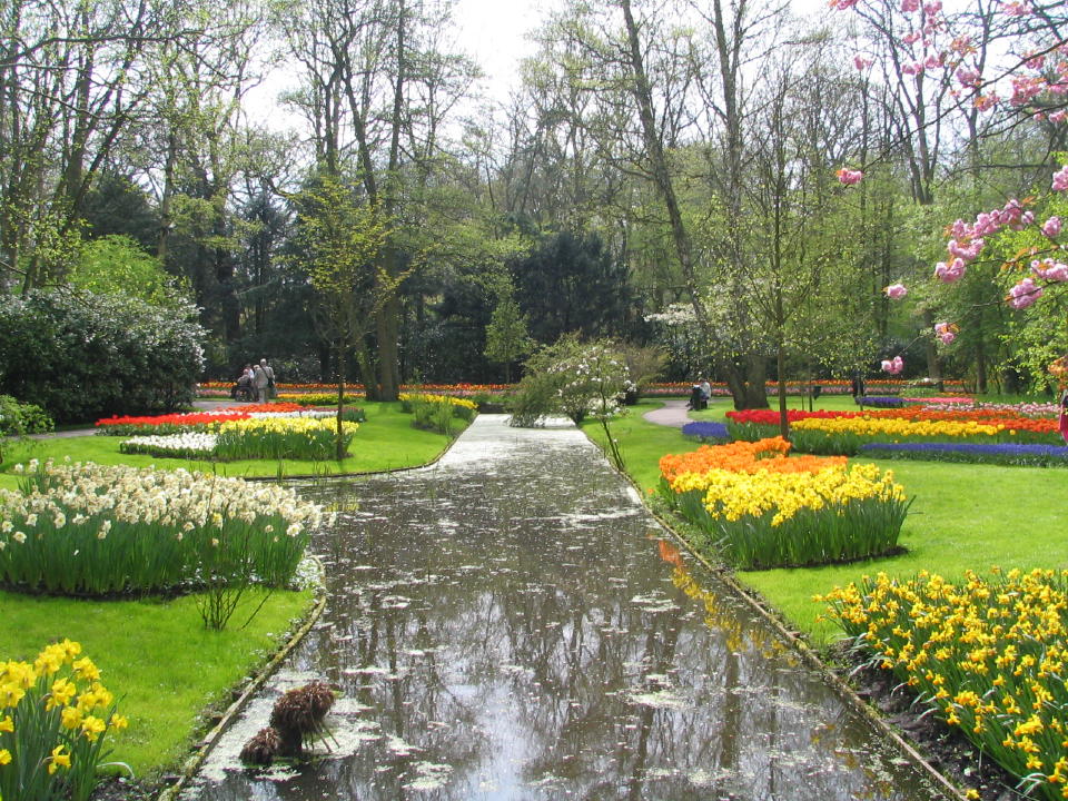 Fonds d'cran Nature Parcs - Jardins HOLLANDE