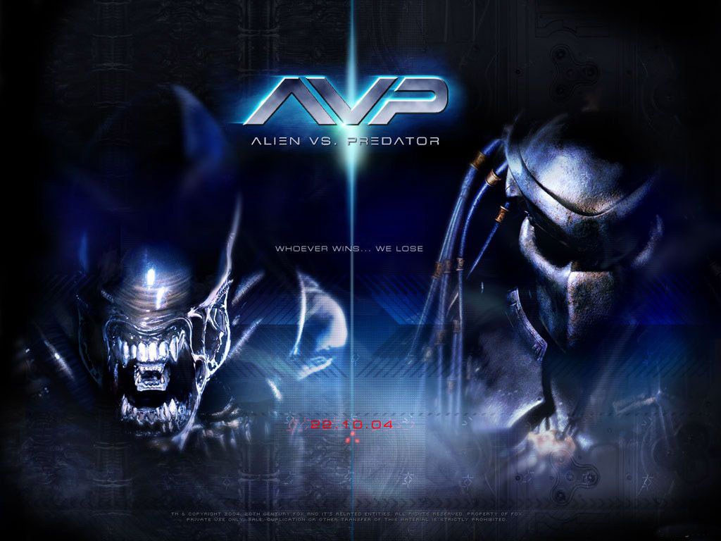 Wallpapers Movies Alien vs Predator whoever win we lose