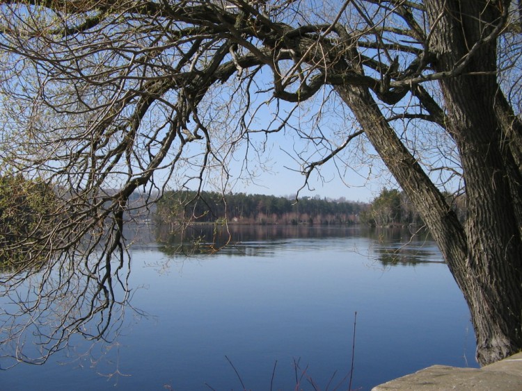 Fonds d'cran Nature Fleuves - Rivires - Torrents les Bananes et Melville