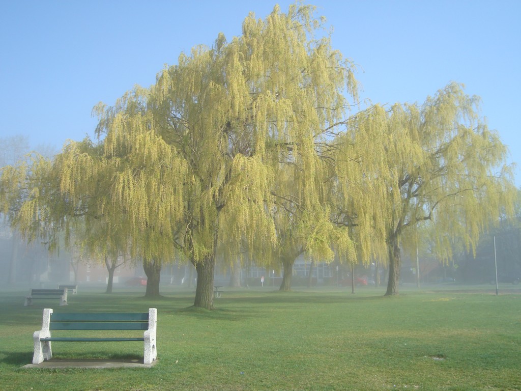 Wallpapers Nature Parks - Gardens lachine-qubec-canada