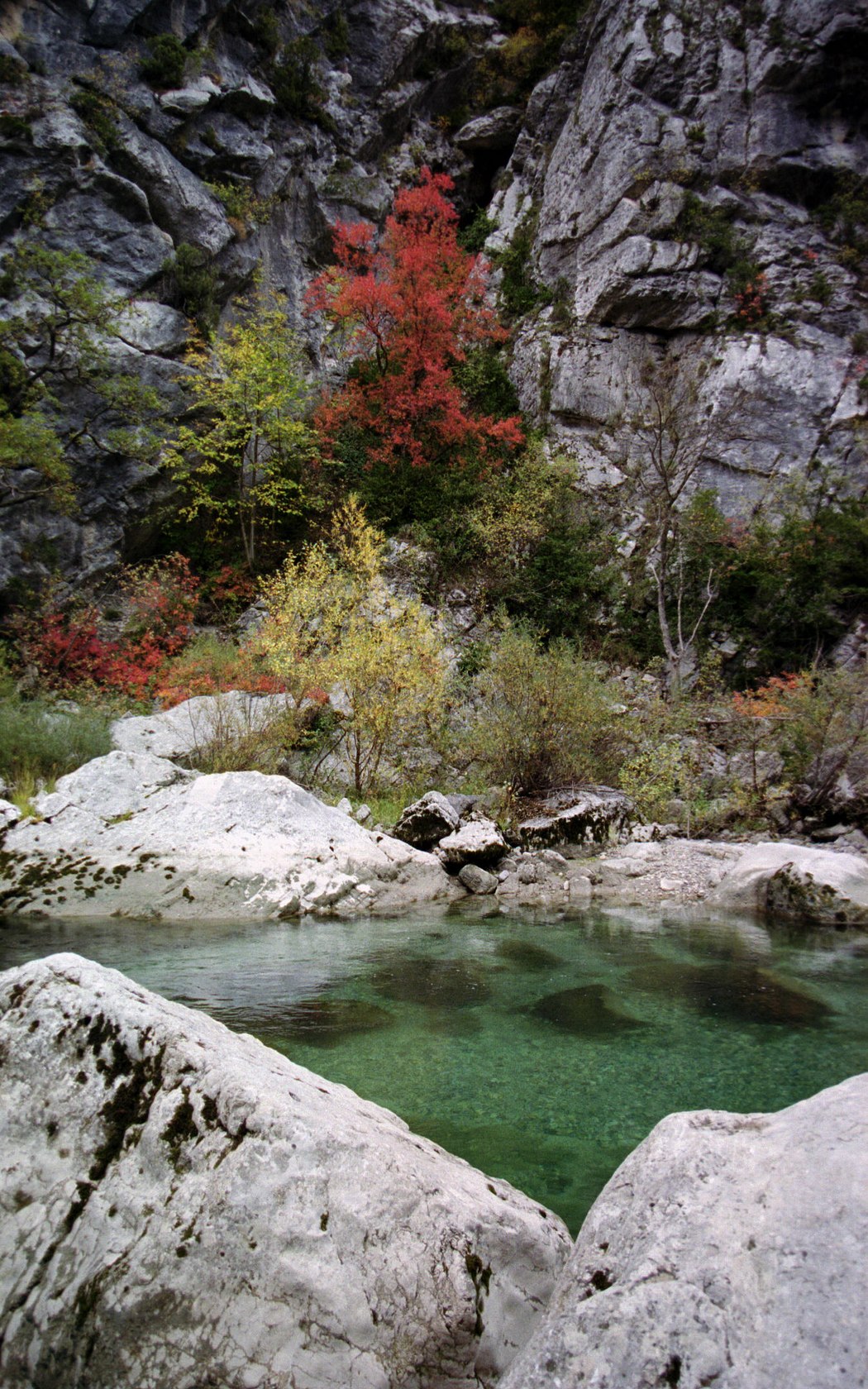 Fonds d'cran Nature Fleuves - Rivires - Torrents le Verdon