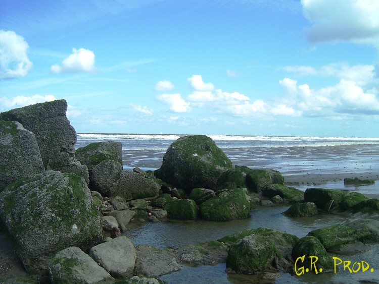 Wallpapers Nature Seas - Oceans - Beaches Wissant (pas de calais)