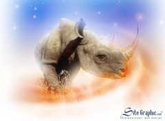 Wallpapers Animals Hippo