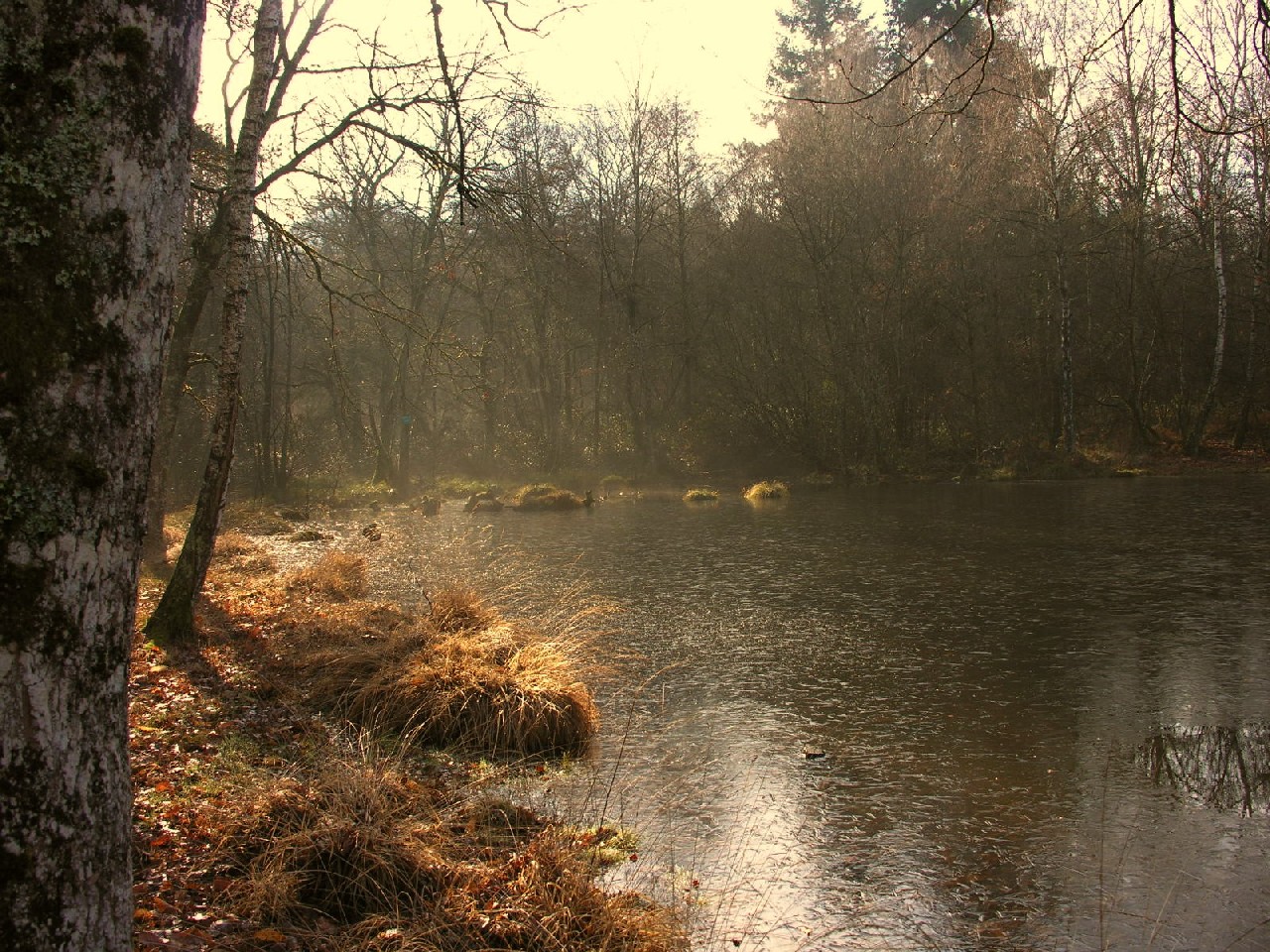 Fonds d'cran Nature Lacs - Etangs 