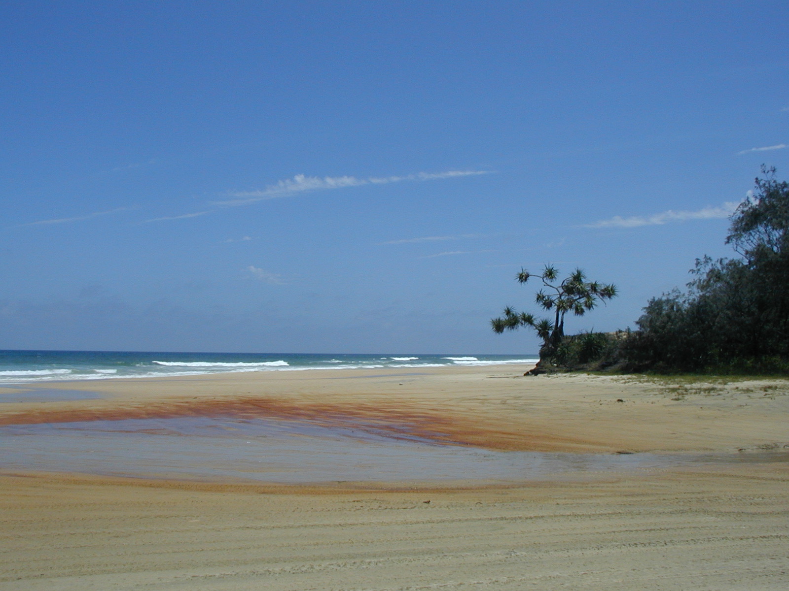 Fonds d'cran Voyages : Ocanie Australie Fraser Island. 70'miles beach