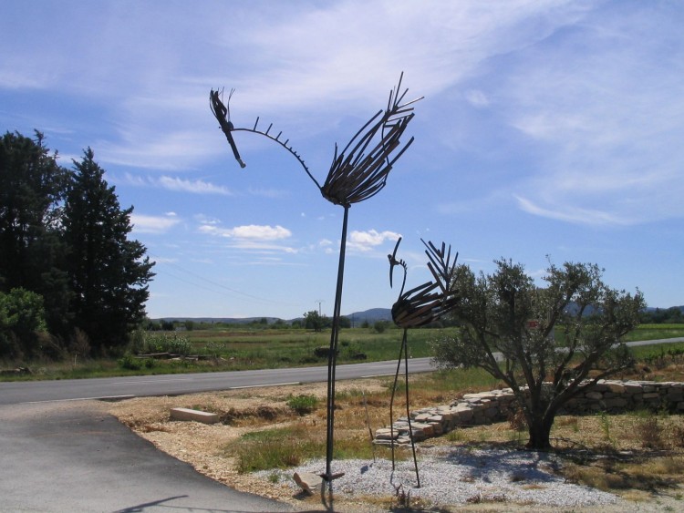 Fonds d'cran Objets Divers droles d' oiseaux