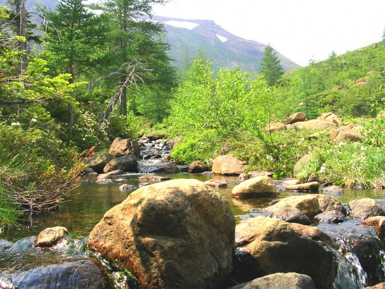 Fonds d'cran Nature Fleuves - Rivires - Torrents Ruisseau du Diable