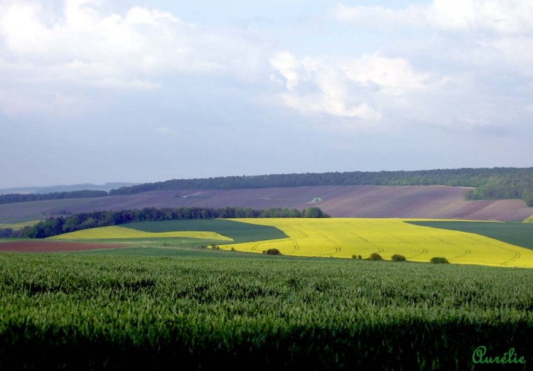 Fonds d'cran Voyages : Europe France > Champagne-Ardennes La Marne