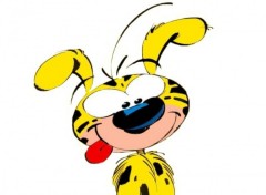 Wallpapers Cartoons Marsupilami