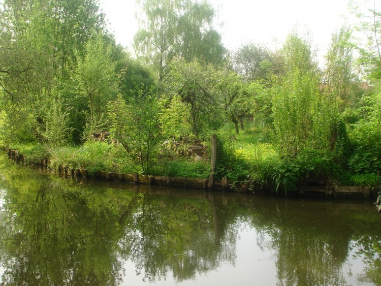 Fonds d'cran Nature Lacs - Etangs Hortillonnages